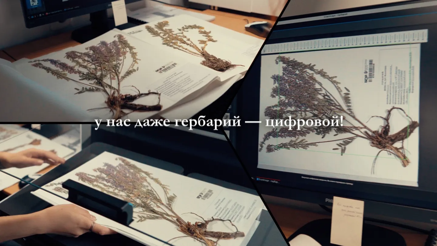 БГСХА с нейросетями — кадр 11